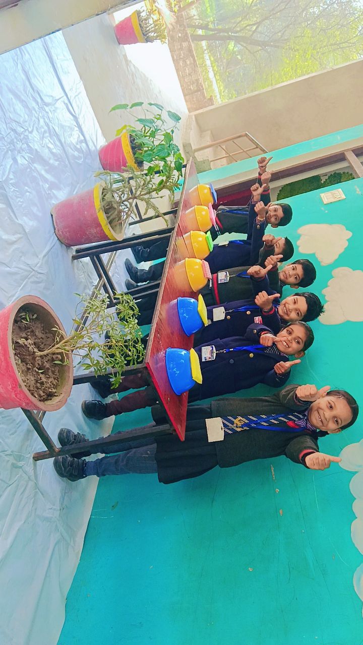 M M Public School, Dariba, Dariba, Raebareli | Home